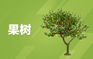 果树